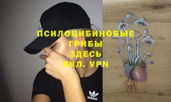 прущий лед Аркадак